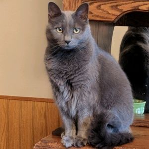 Meet your Posher, Michelle